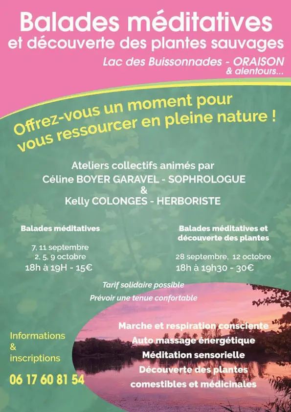 Balades méditatives et découverte des plantes sauvages