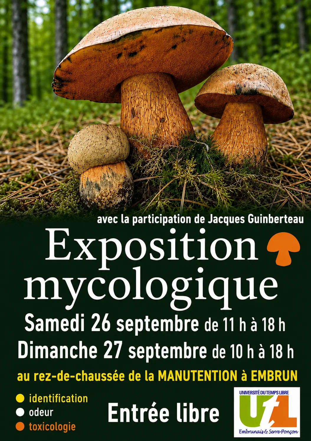 Exposition mycologique