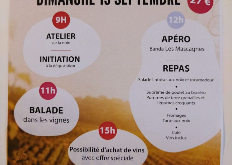Balade dans les vignes et déjeuner au château les Bouysses