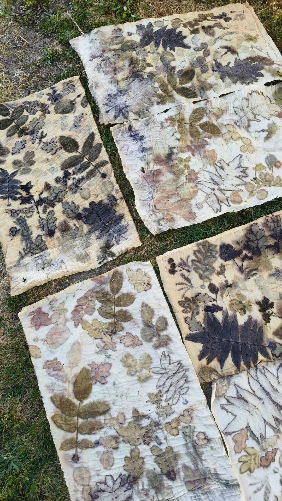 Stage impression végétale par cuisson vapeur - ECOPRINT