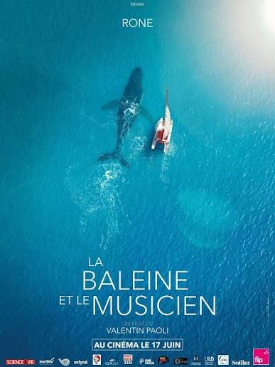 Ciné Rencontre - La Baleine et le musicien