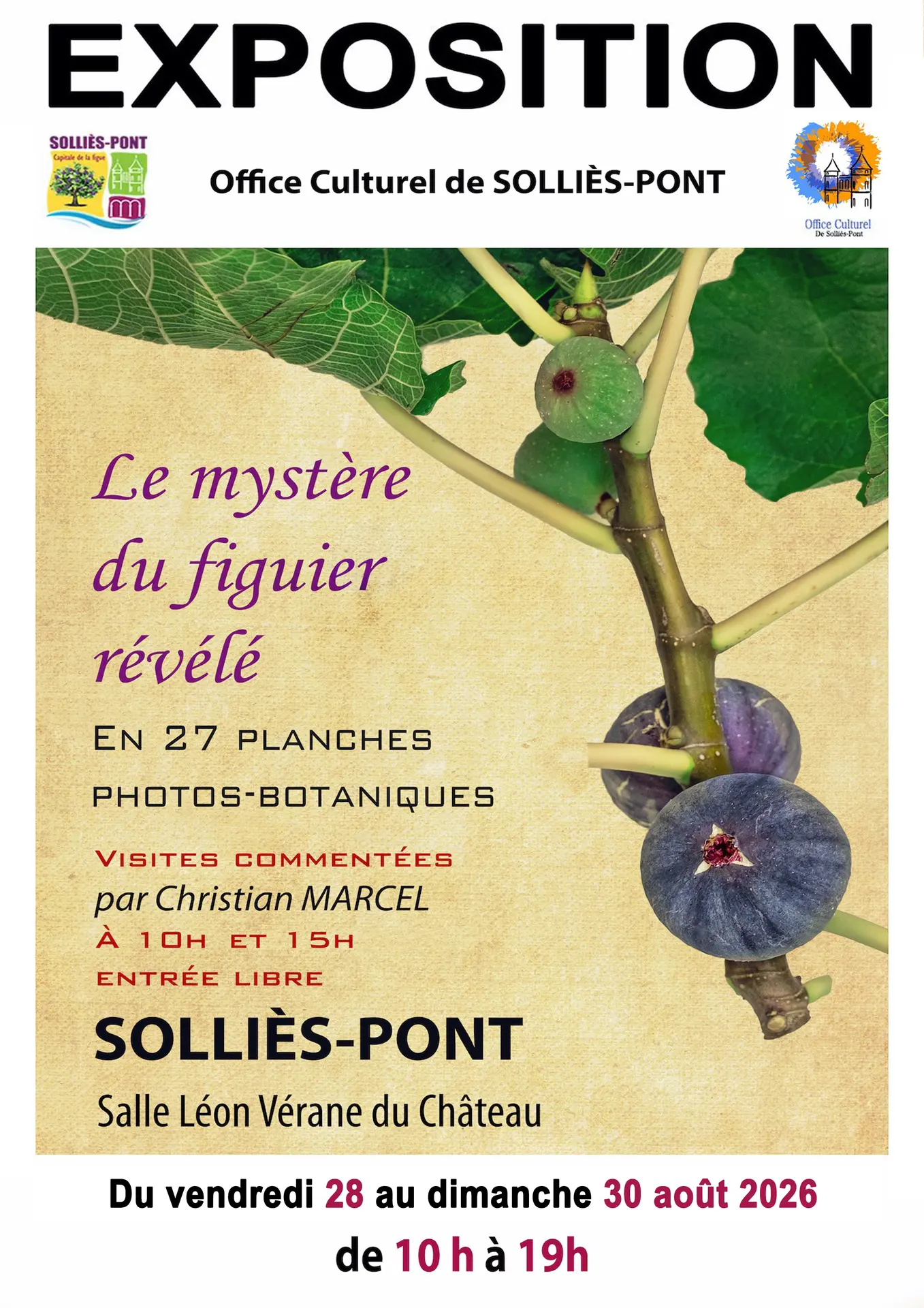 Exposition : Le mystère du figuier révélé