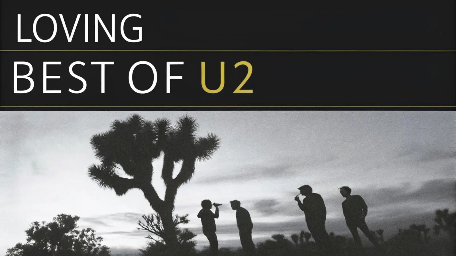 REPAS/CONCERT U2