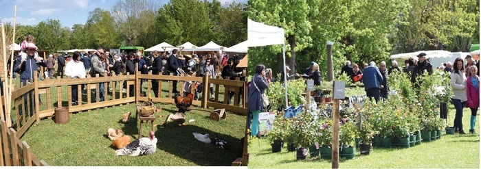 La terre à l'honneur à Chloroph'îles
