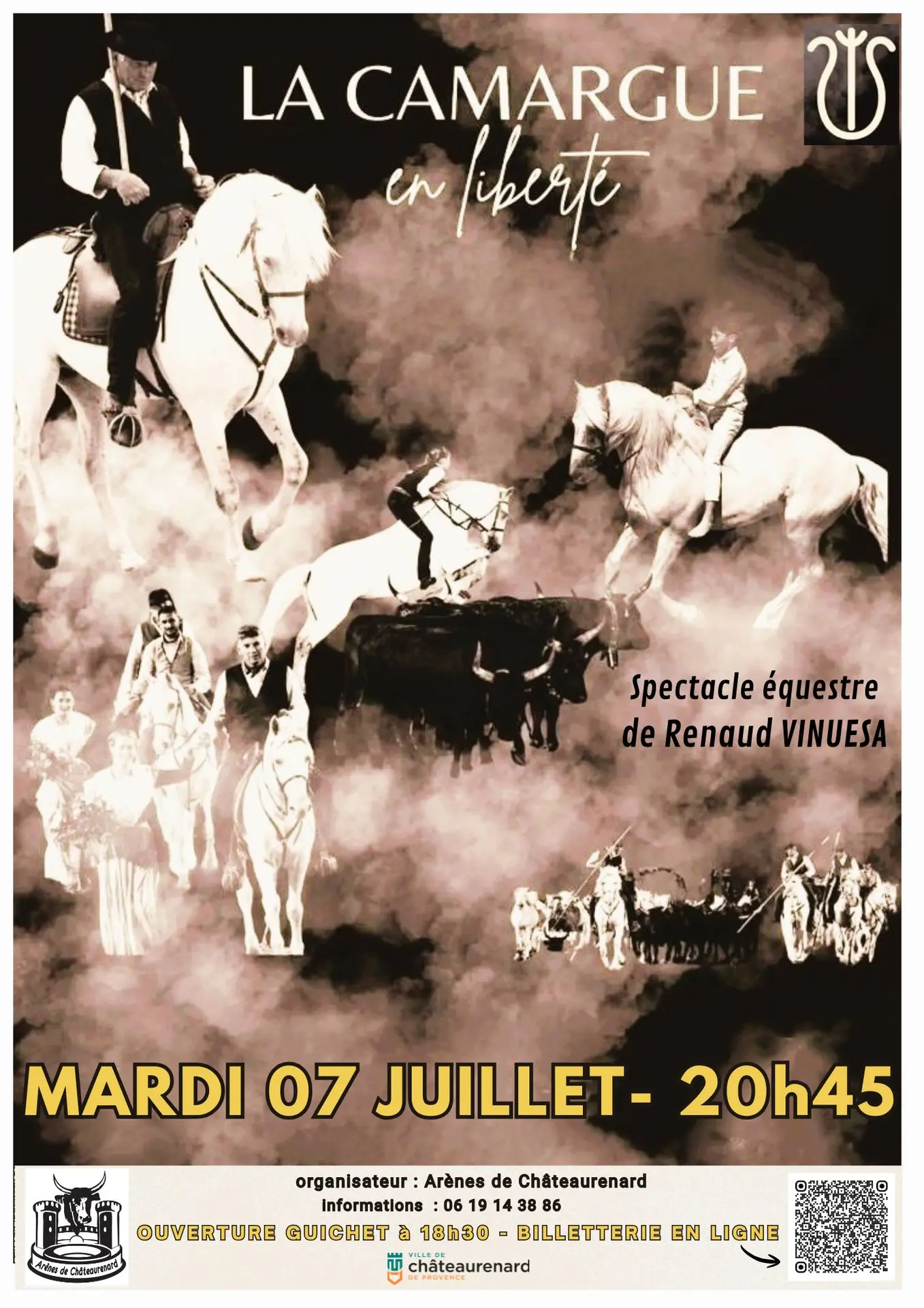 Spectacle équestre de Renaud VINUESA