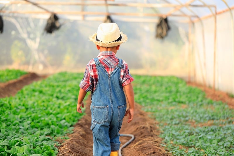 Printemps à la ferme