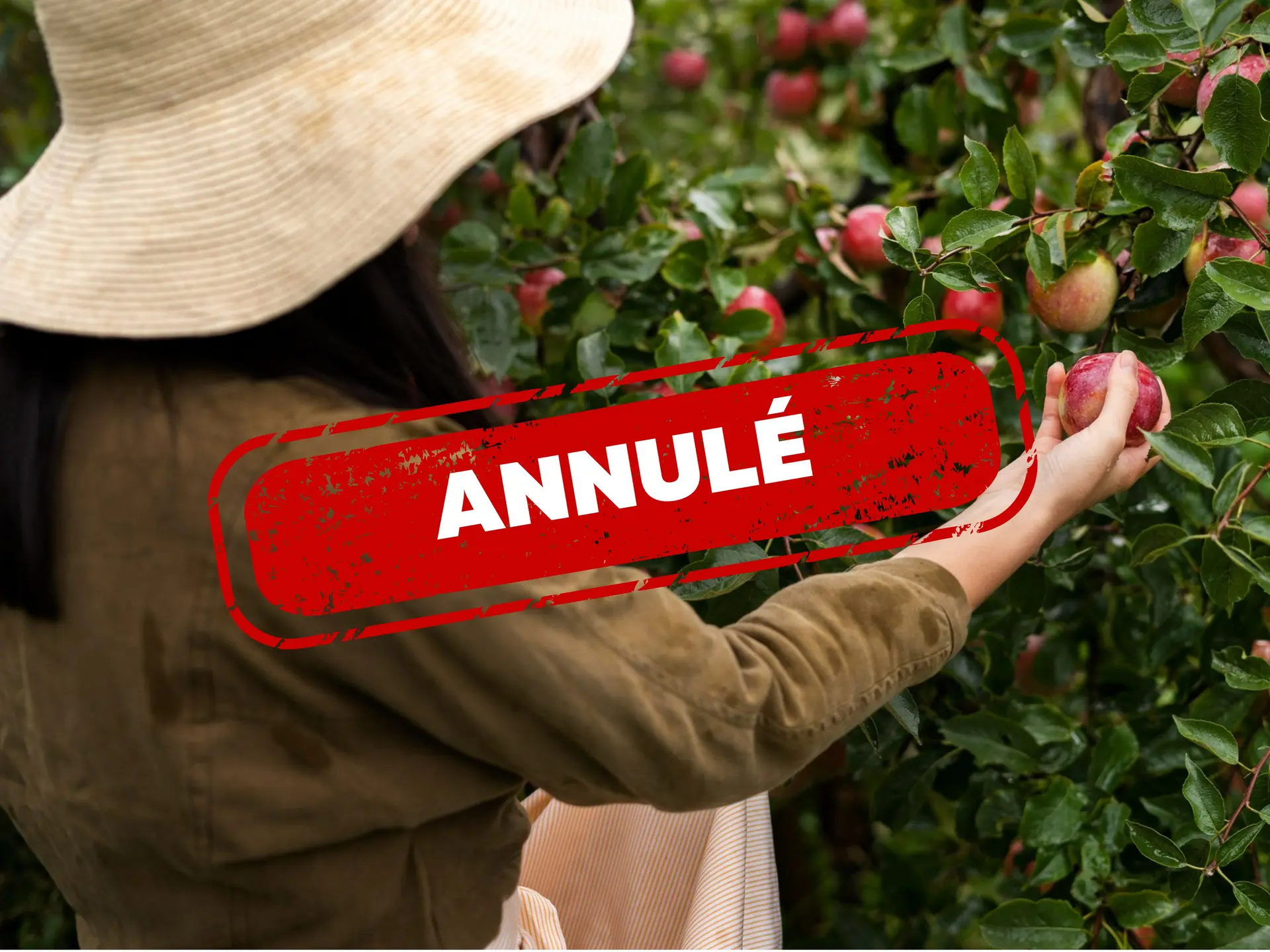 Annulé - Vergers ouverts 16ème édition