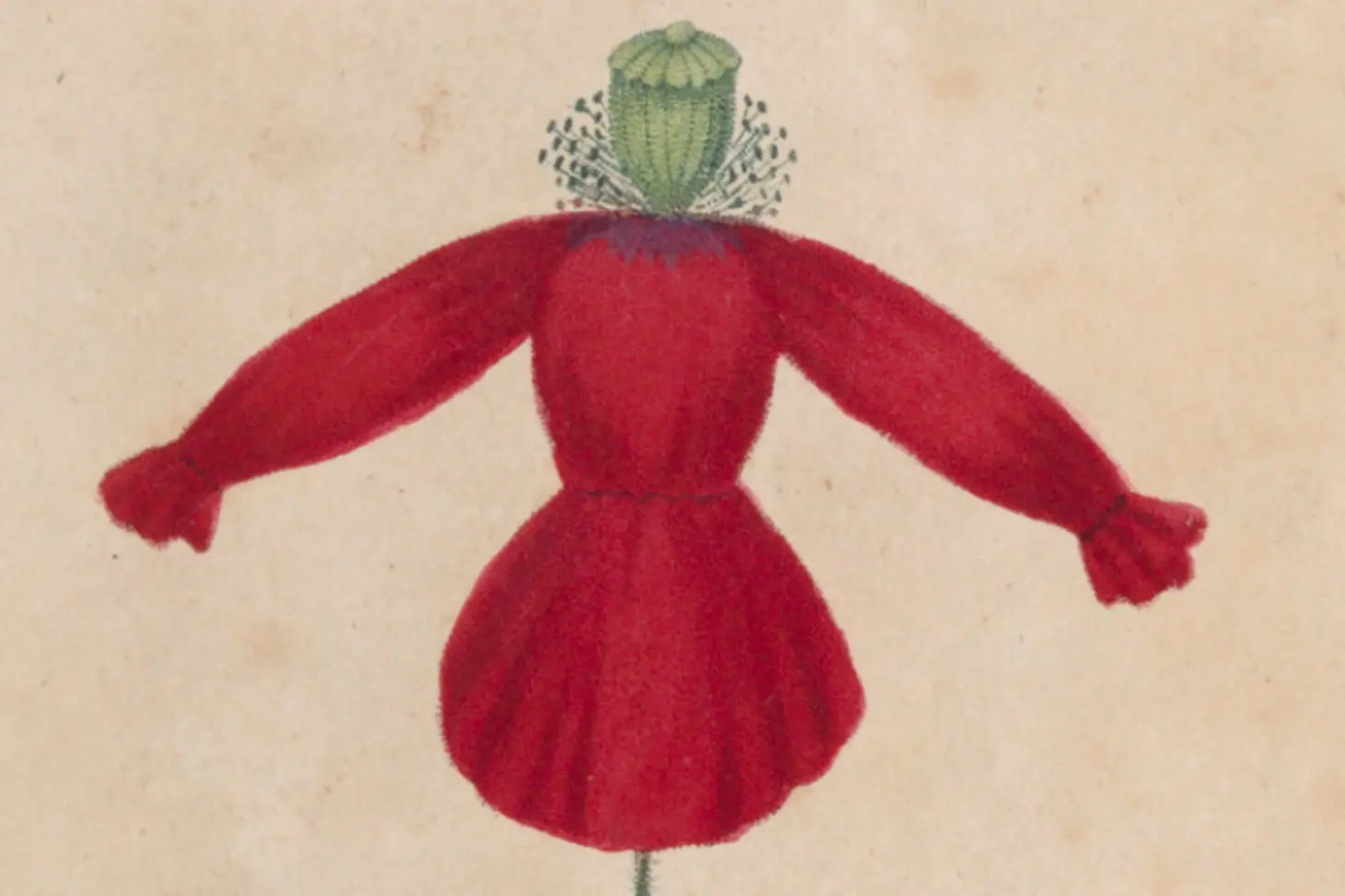 Visite "Ce que nous raconte le nom des plantes"