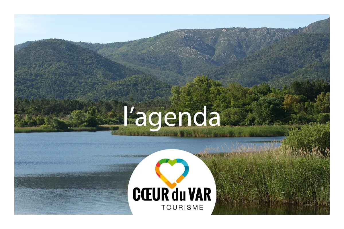 Soirée cinéma en plein air