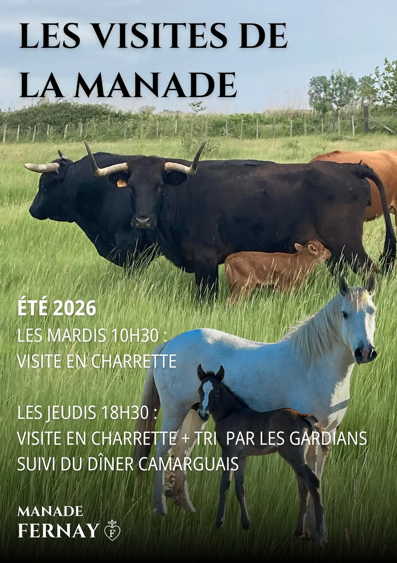 Les visites à la manade Fernay