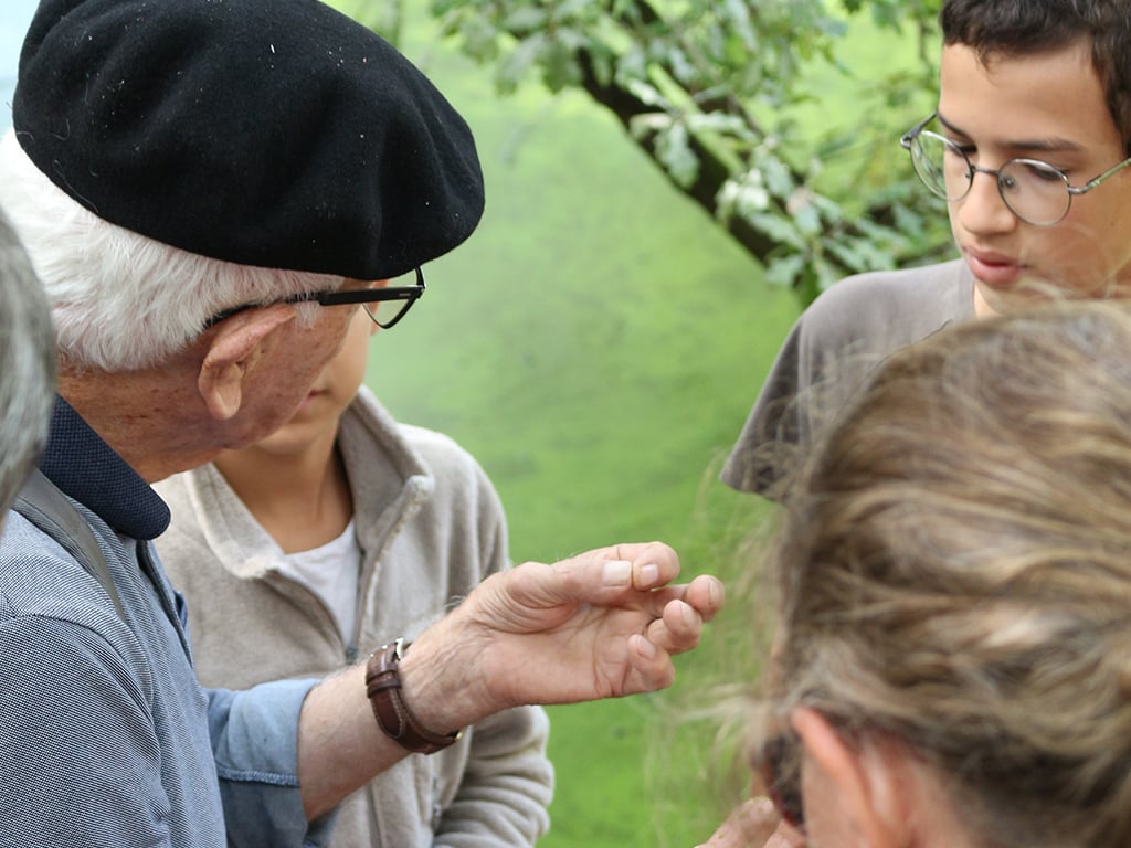 Promenade sur les rives de la Leyre