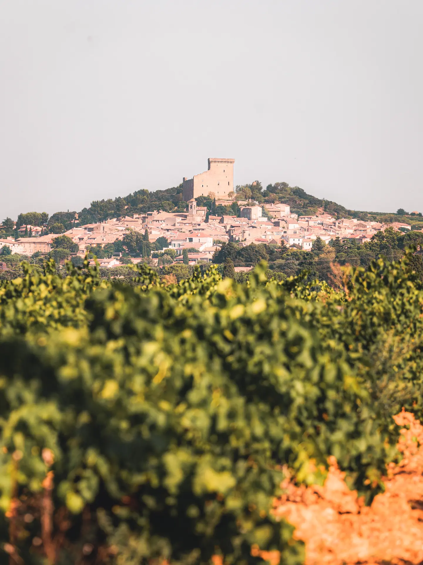 Journées du Patrimoine : découverte de Châteauneuf-du-Pape,.