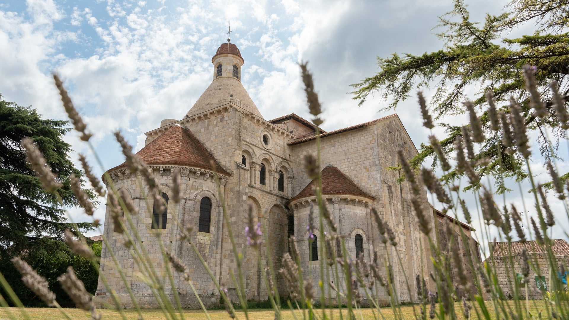 Approche botanique du jardin du cloître