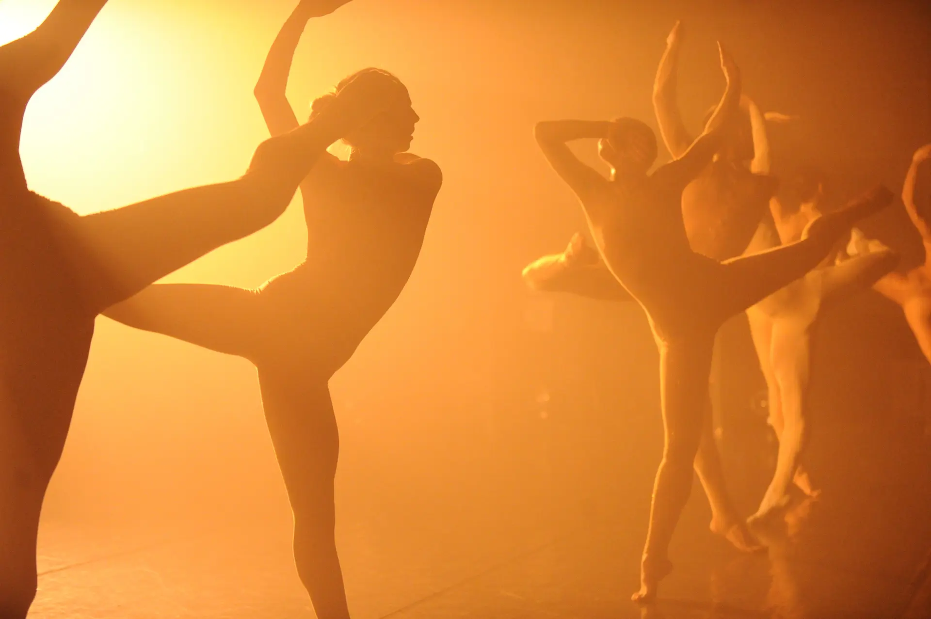 Ballet de L’Opéra de Lyon - "House" de Sharon Eyal – "Le Sacre du Printemps" de Mats Ek