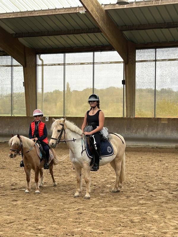 Concours de sauts d'obstacles club - poneys