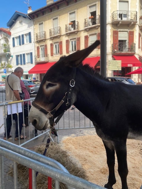 Nos terroirs en fête