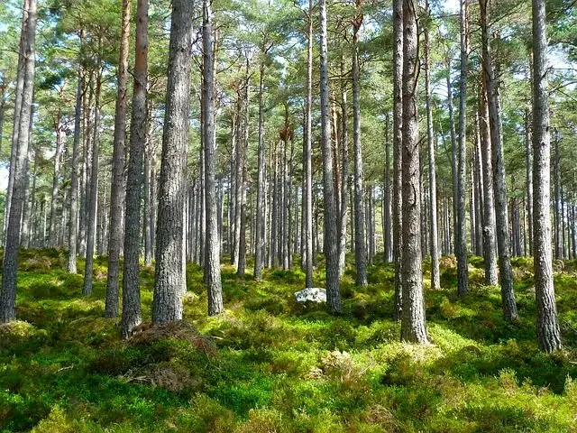 Chasse au trésor à l'Escale
