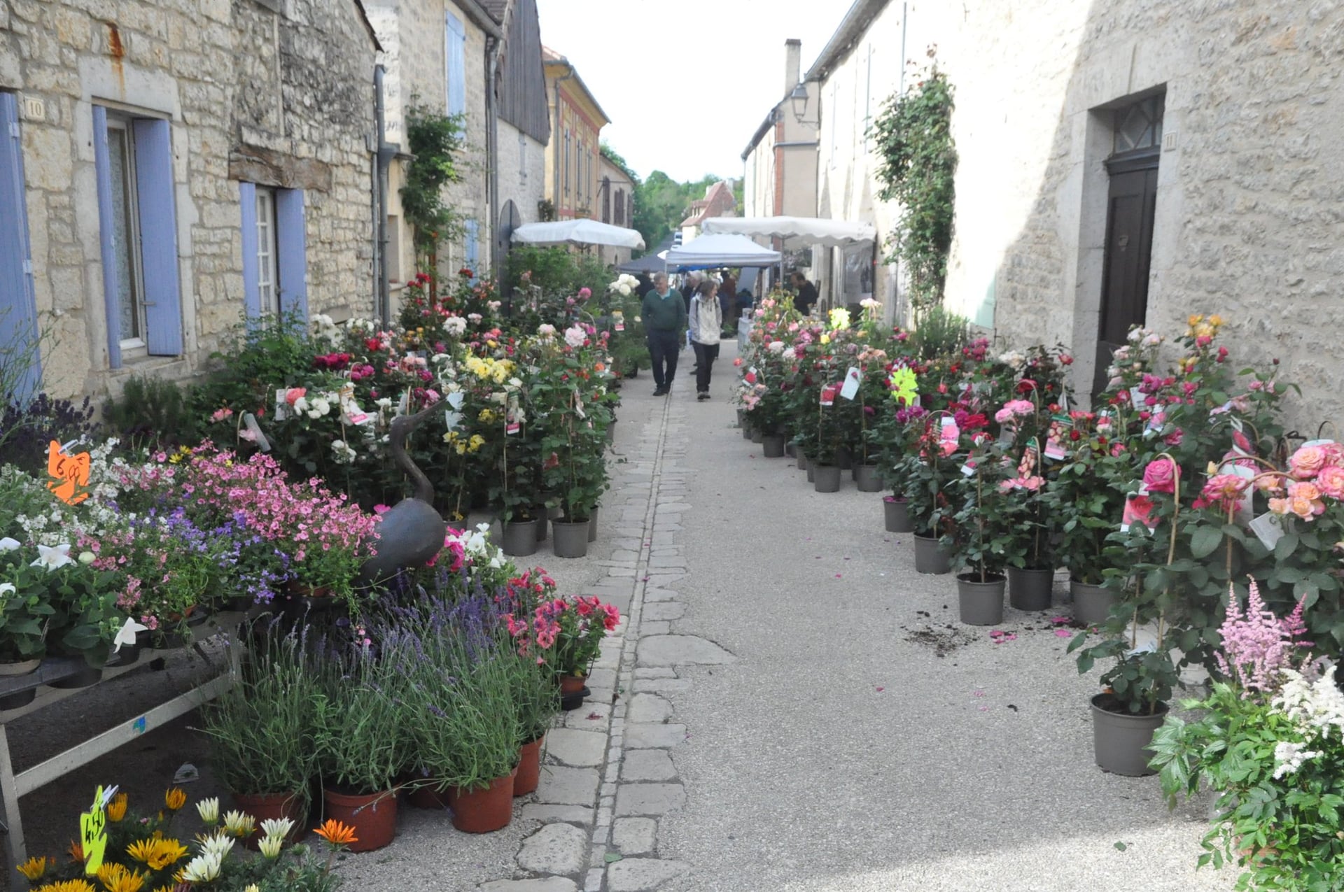 Foire aux plantes et aux fleurs