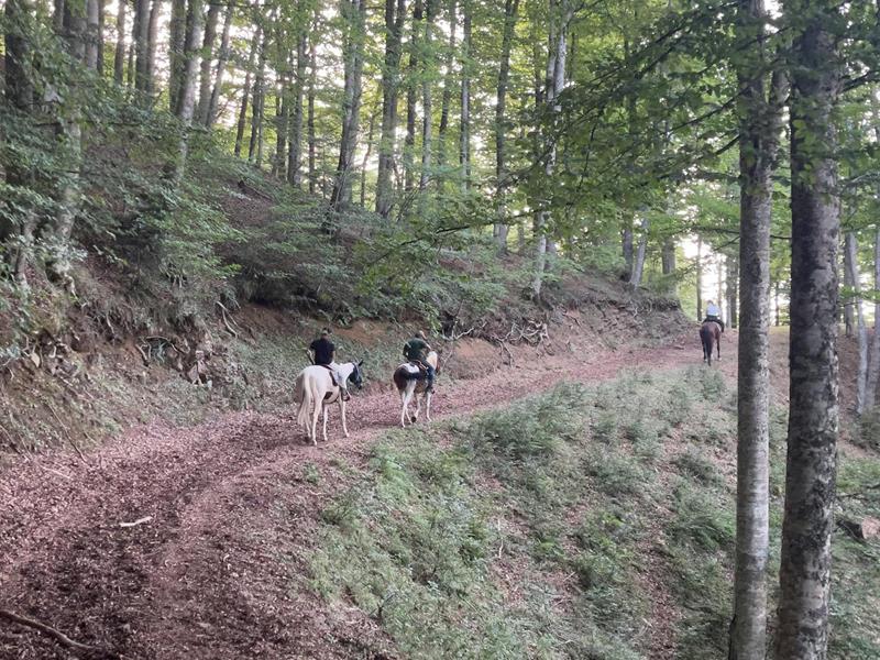 Deux journées à cheval