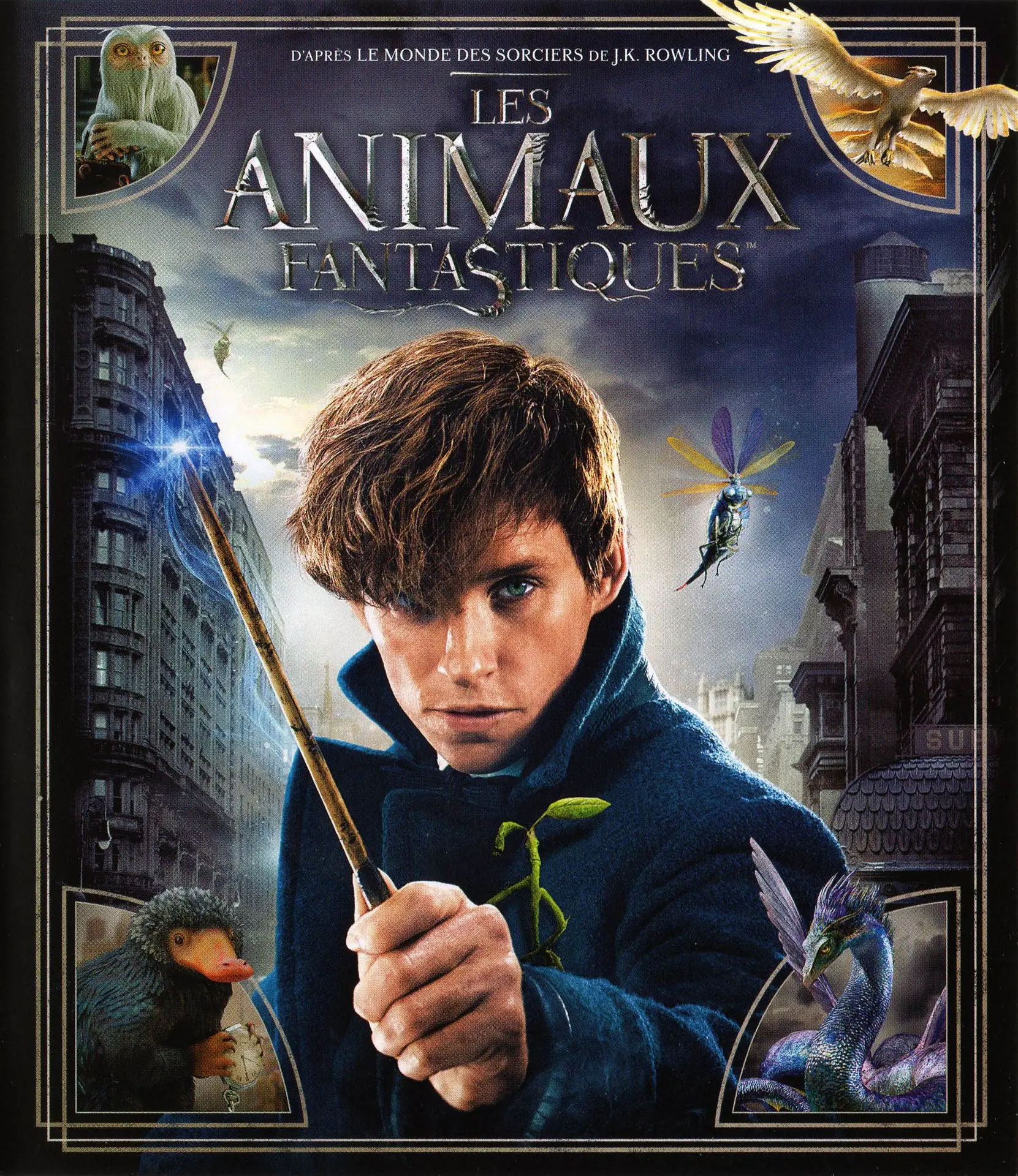 Projection du film "Les animaux fantastiques"