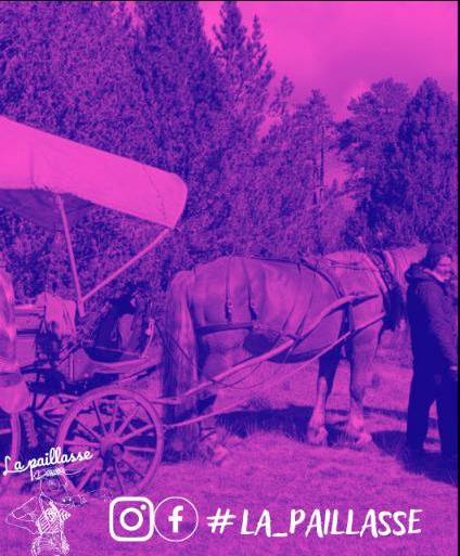 COLO ÉTÉ À LA FERME