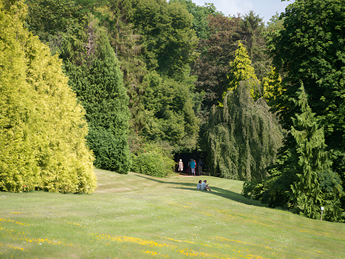 Visite guidée du patrimoine arboré du parc Calouste Gulbenkian