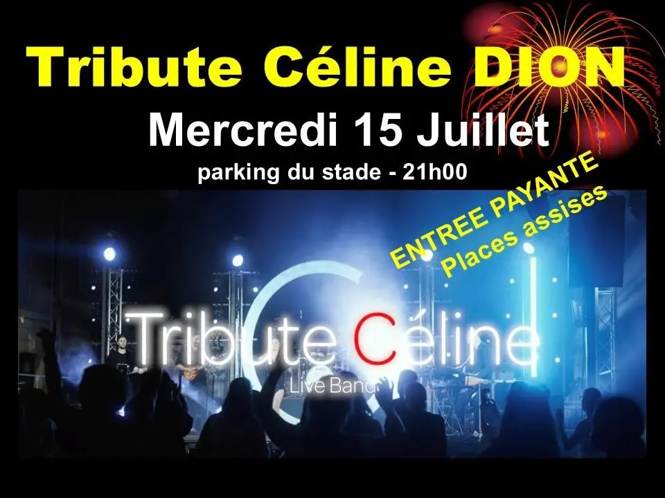 Les mercredis misonnais : tribute Céline Dion