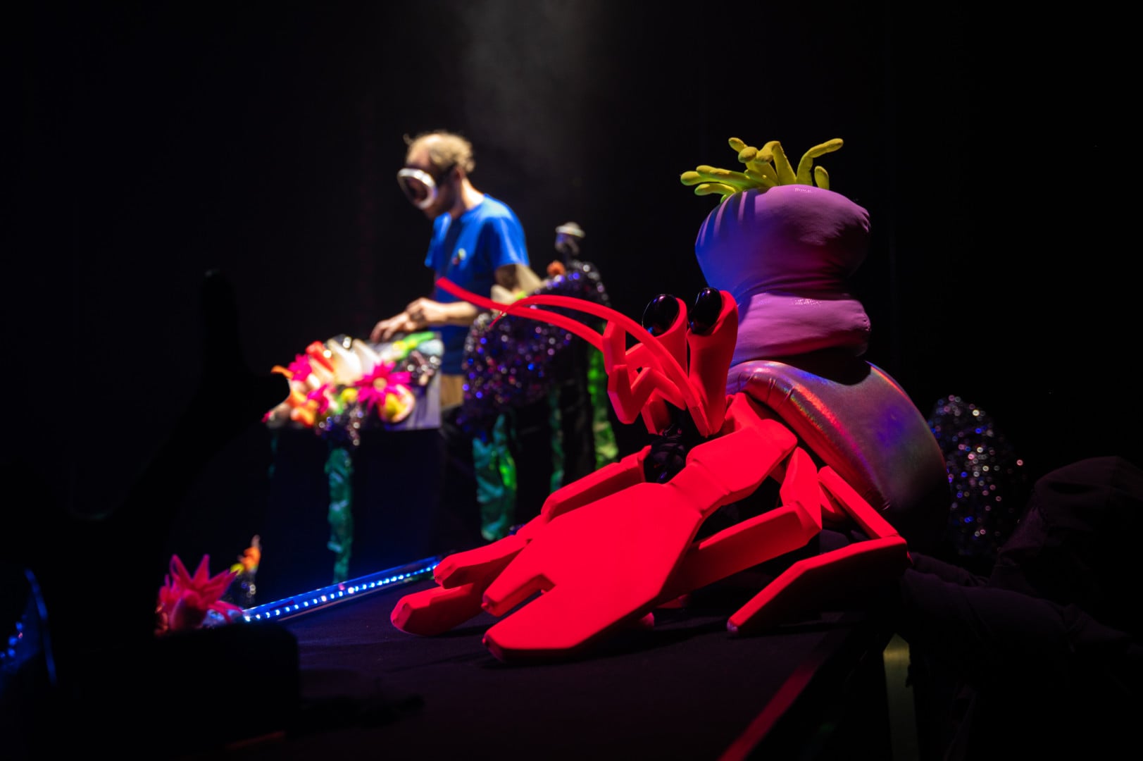 Festival Môm Art – Coquille Diamant