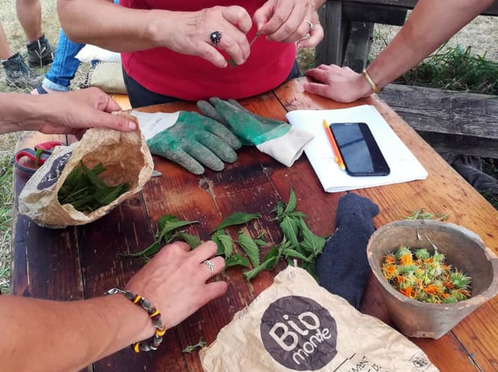 De la cuisine au compost