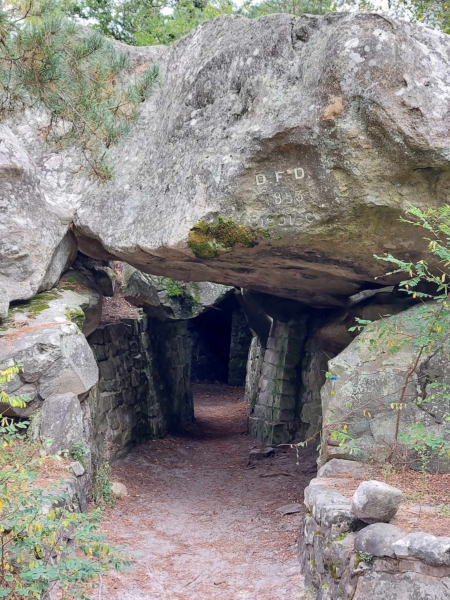 Randonnée en forêt de Fontainebleau : Les gorges de Franchard