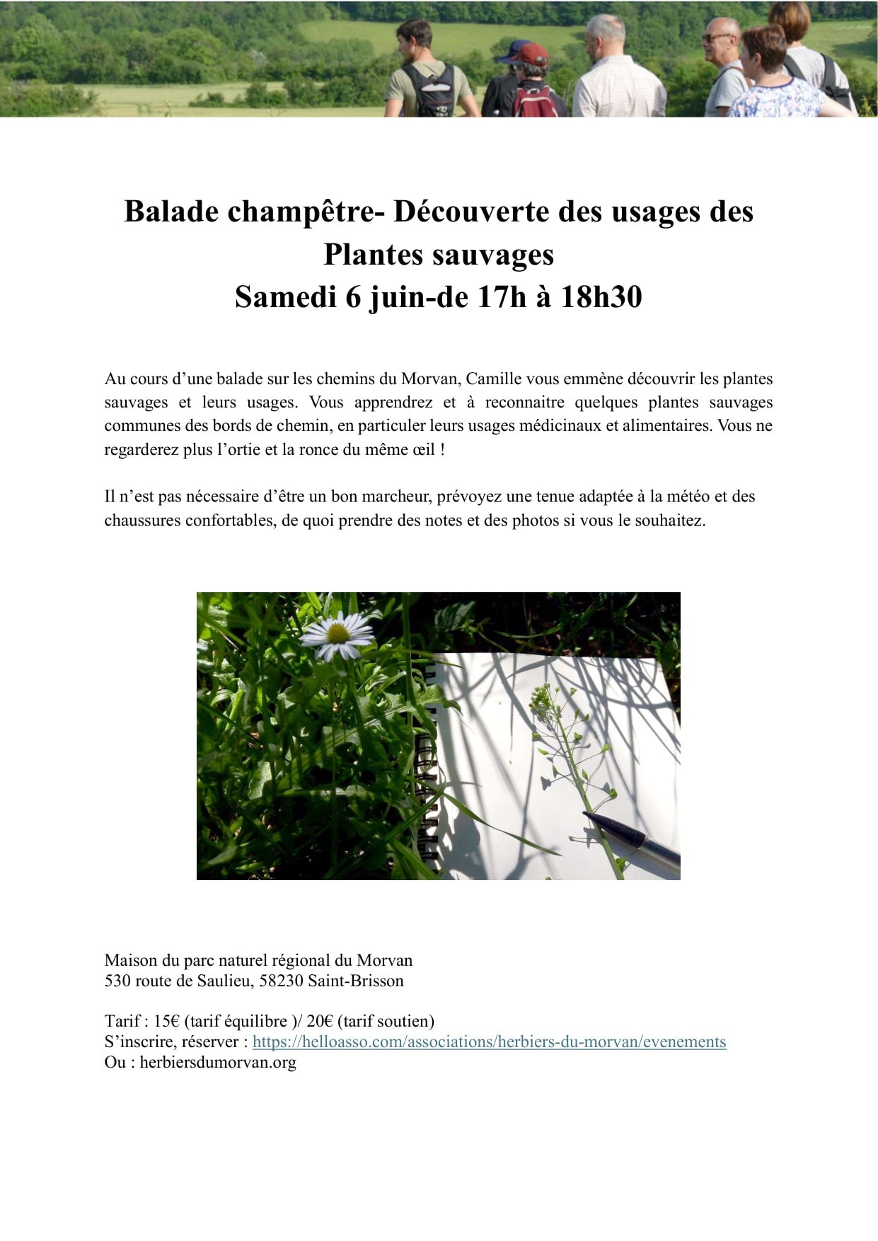 Balade champêtre- Découverte des usages des Plantes Sauvages