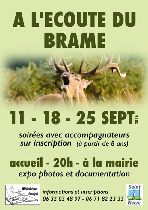 A l’écoute du brame