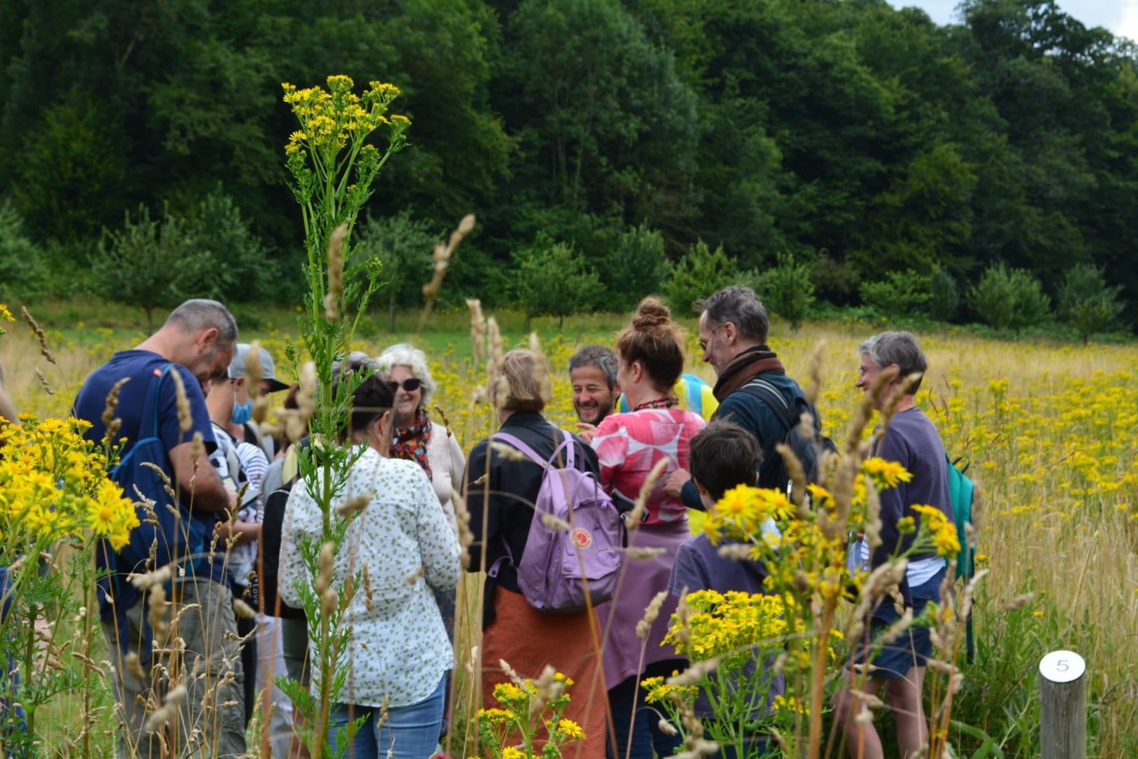 Sortie nature : Découverte des landes d’Avaugour