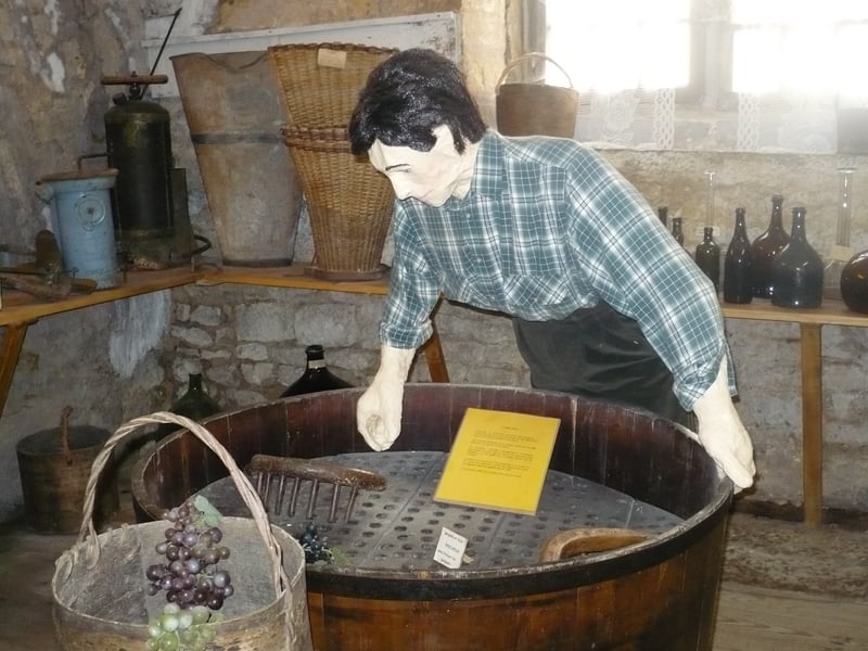 JEP | au Musée de la vigne et du vin