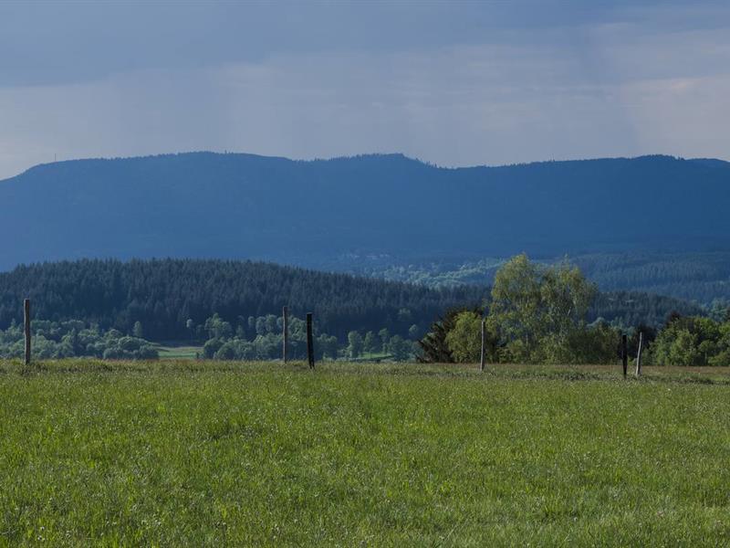 Sentiers Plaisir : Le Champ du Feu, un joyau de la nature