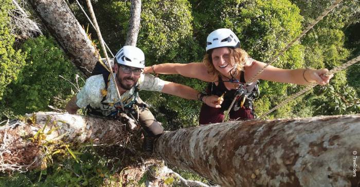 Kimboto, voyage au coeur de la forêt guyanaise