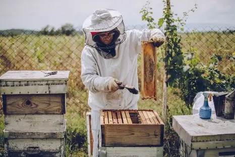 Randonnée à Grans : "Évasion en garrigue et Secrets de la Miellerie"