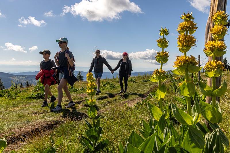 Balade pastorale : la balade des Prenzières