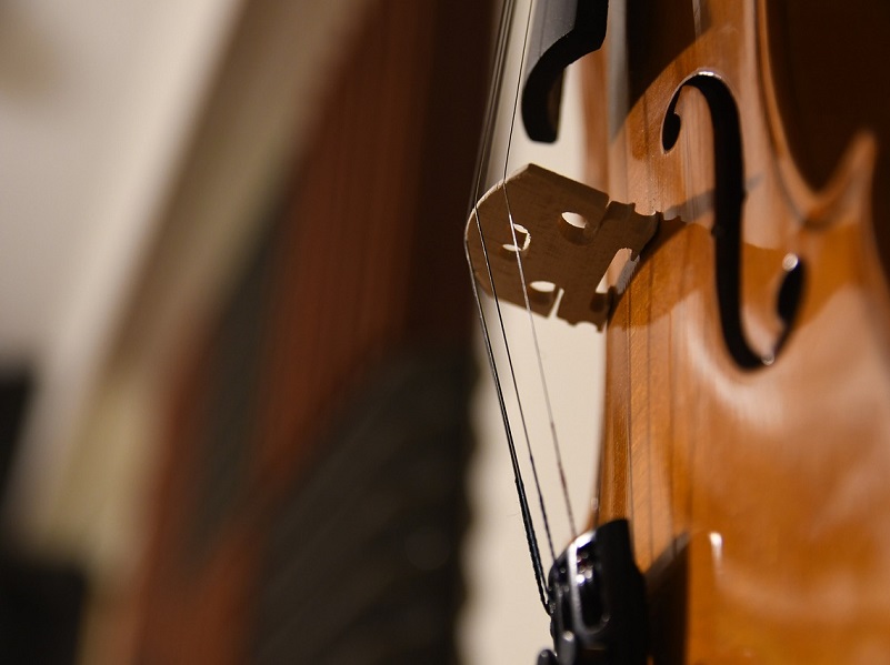 Duo Violoncelle et Accordéon : Voyage au cœur de la Grande Europe