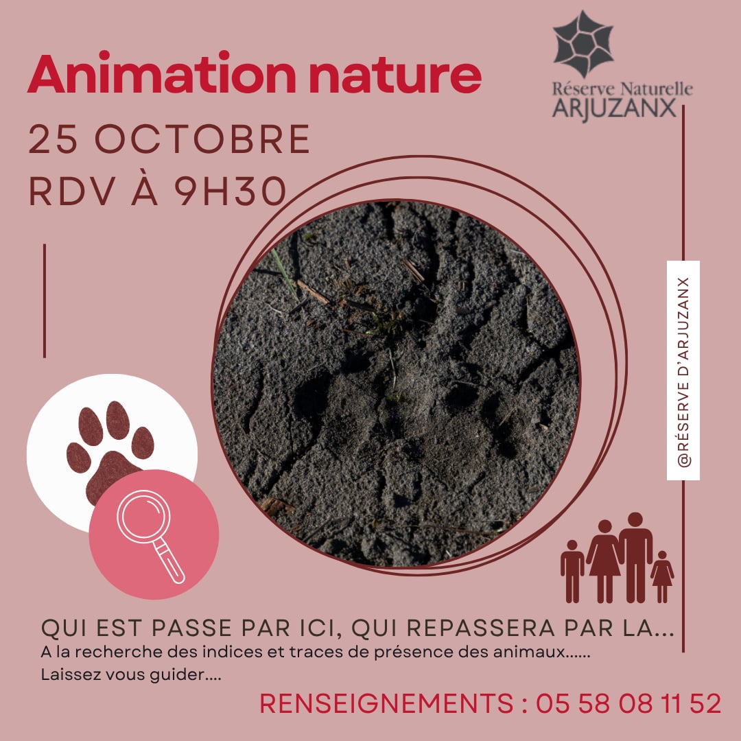 Il est passé par ici, Il repassera par là...