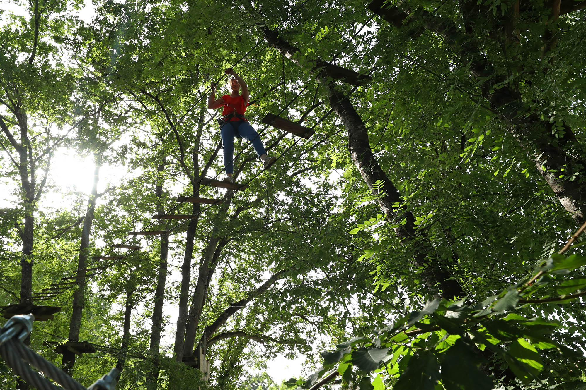 Eté actif 2026 : Grimpe d'arbre
