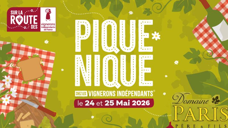 Pique-nique chez le vigneron