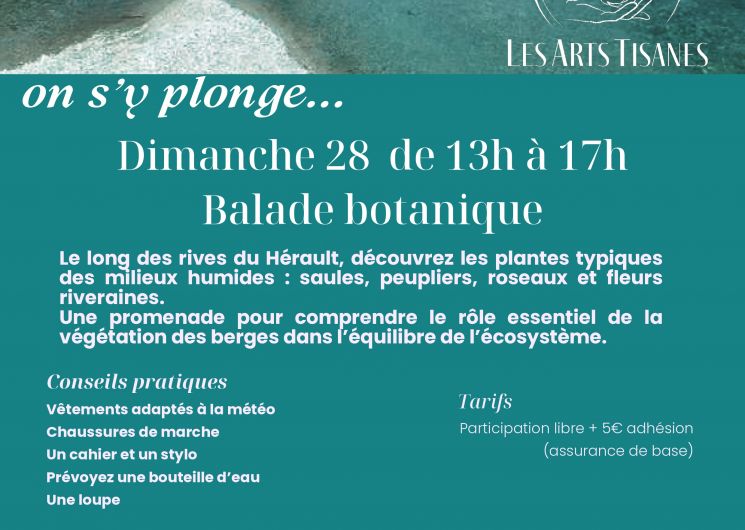 Berges de l’Hérault : on s’y plonge