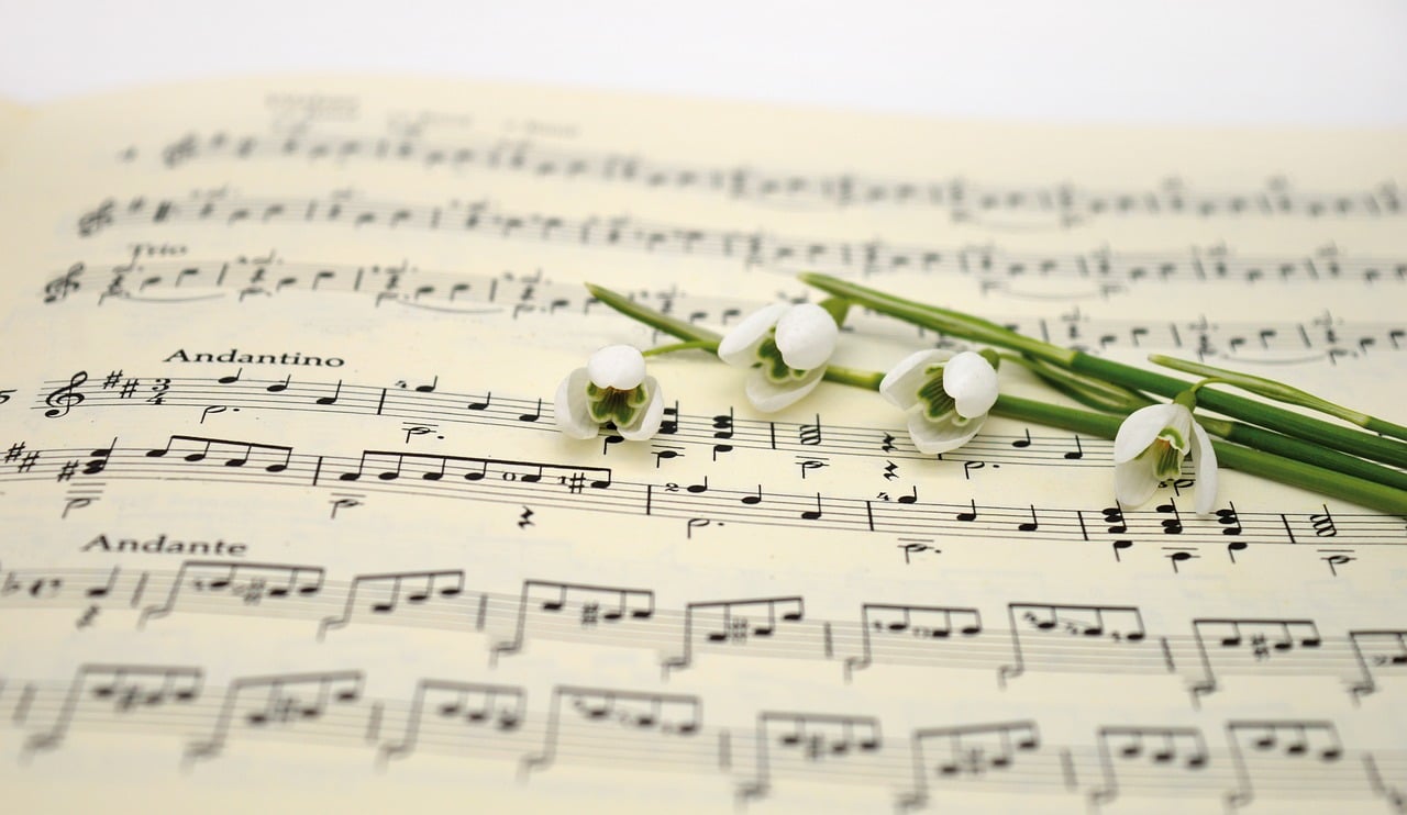 Concert Clarinette et alto
