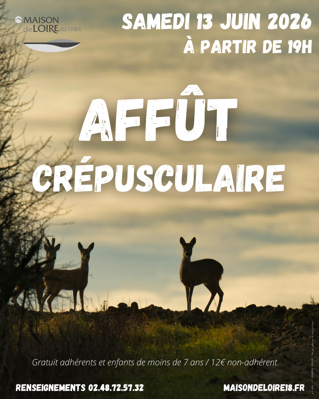 Sortie "Affût crépusculaire"