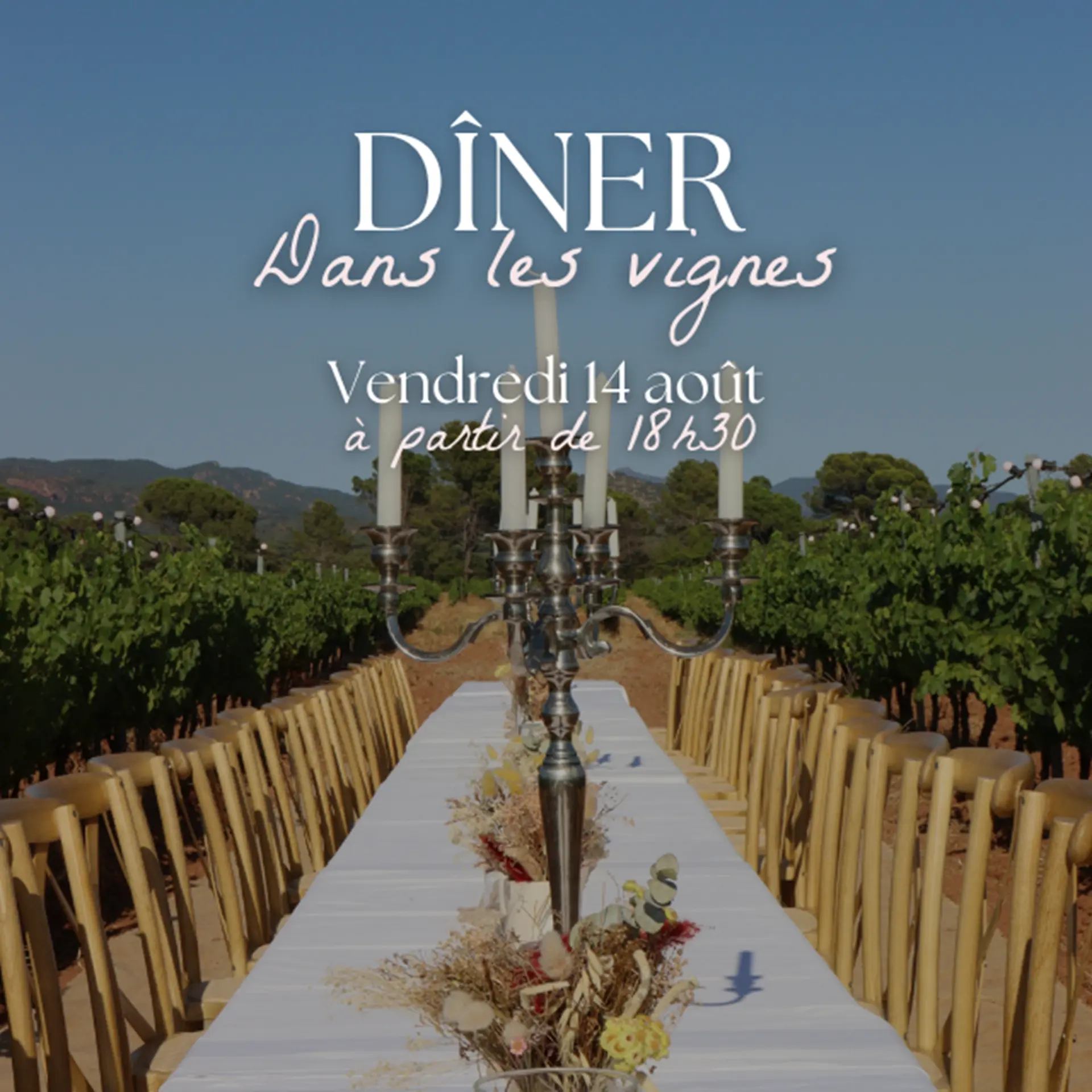 Diner dans les vignes