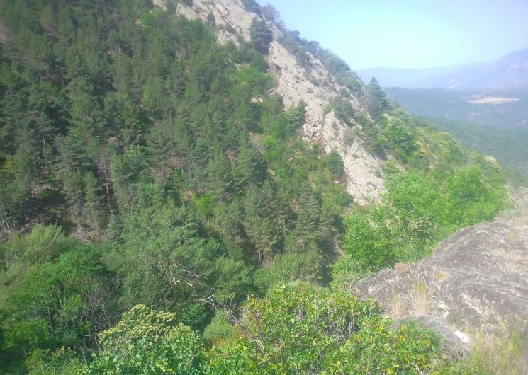 RANDO ACCOMPAGNEE : CHAPELLE SAINT-ETIENNE DE POMERS ET LA FORET DE CLARA