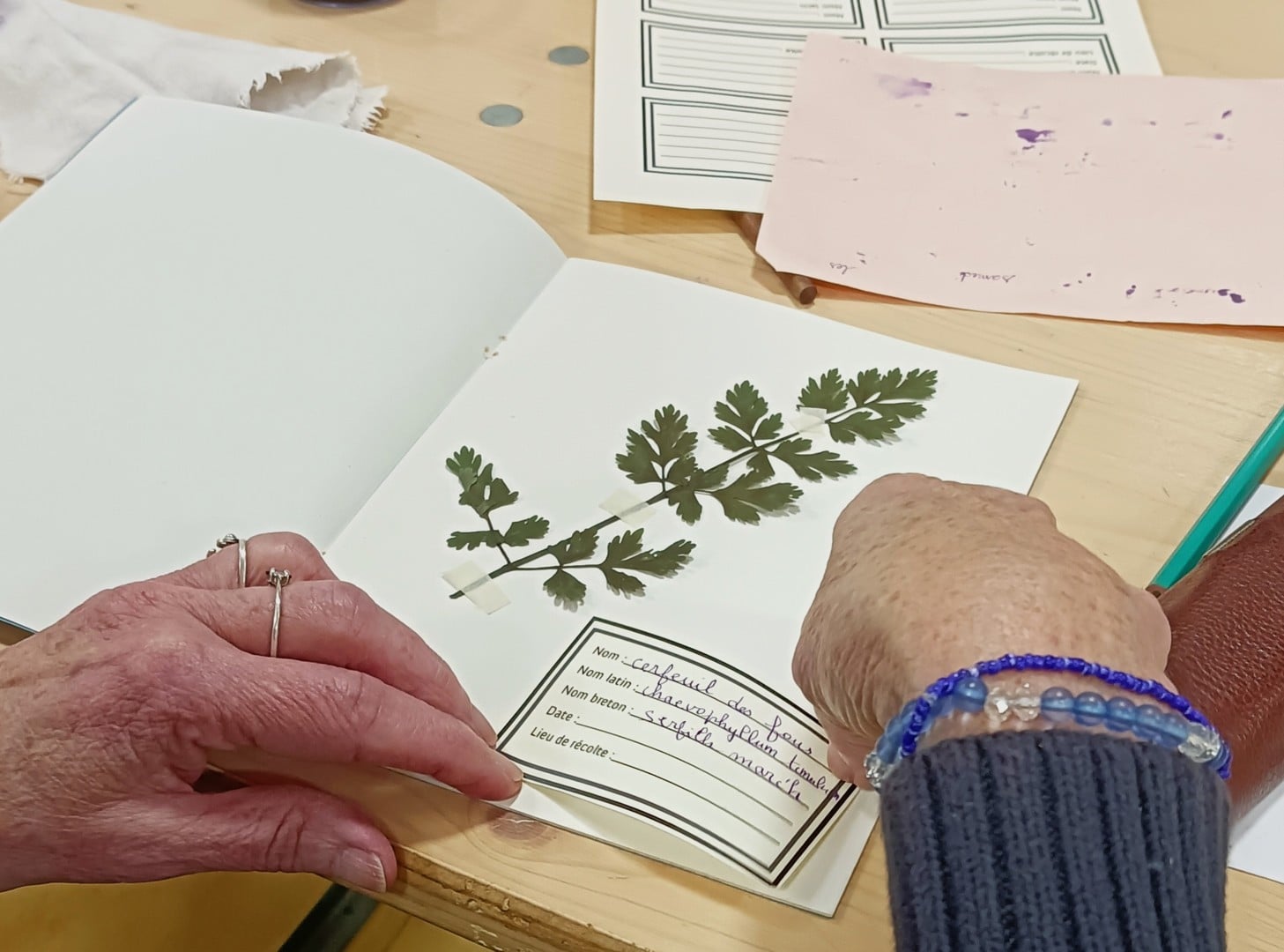 Atelier herbier