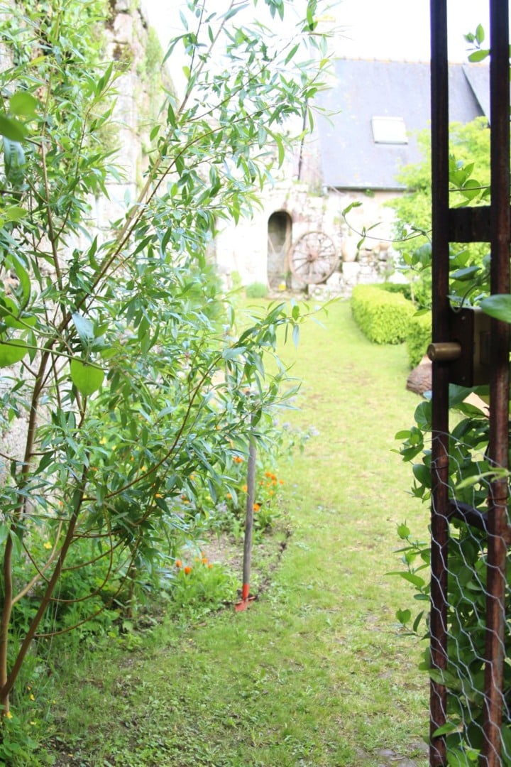 Visite du Jardin d’Hildegarde