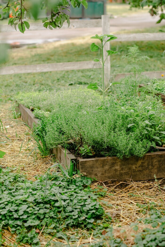 Formation adulte : l'eau au jardin